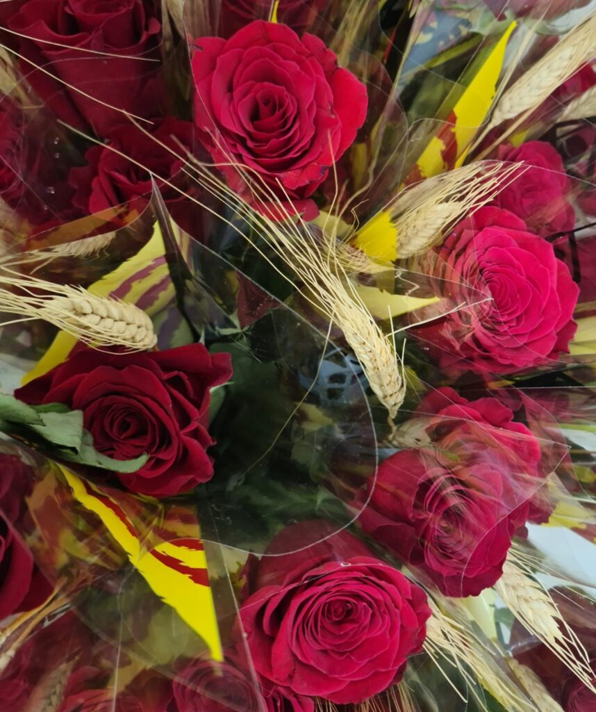 Sant Jordi 2026 FHSJDM